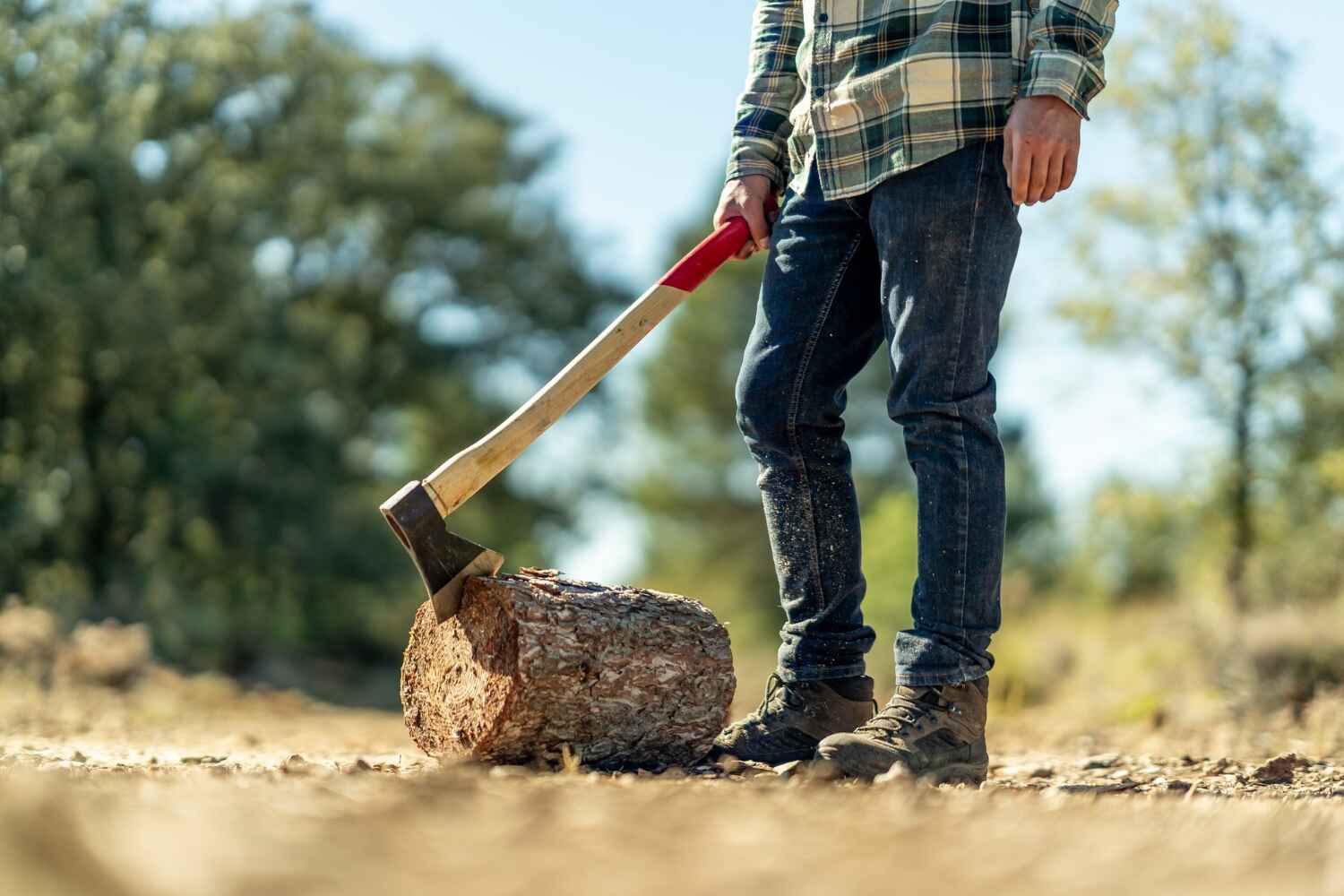 Best Stump Grinding Near Me  in Rossville, TN